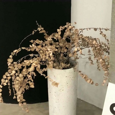 二道福瑞交流群